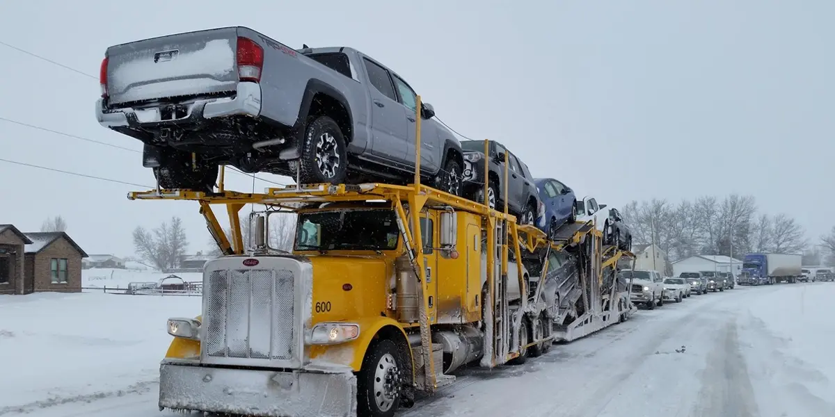 Top Choice for Snowbird Car Transportation in the USA
